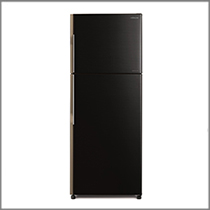 (image for) Hitachi R-H310P4H 255-Litre 2-Door Refrigerator