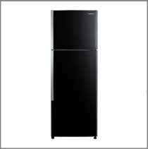 (image for) Hitachi R-T310E1H 255-Litre 2-Door Refrigerator - Click Image to Close