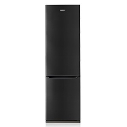 (image for) Samsung RL38SBTB 301-Litre Bottom-Freezer 2-Door Refrigerator