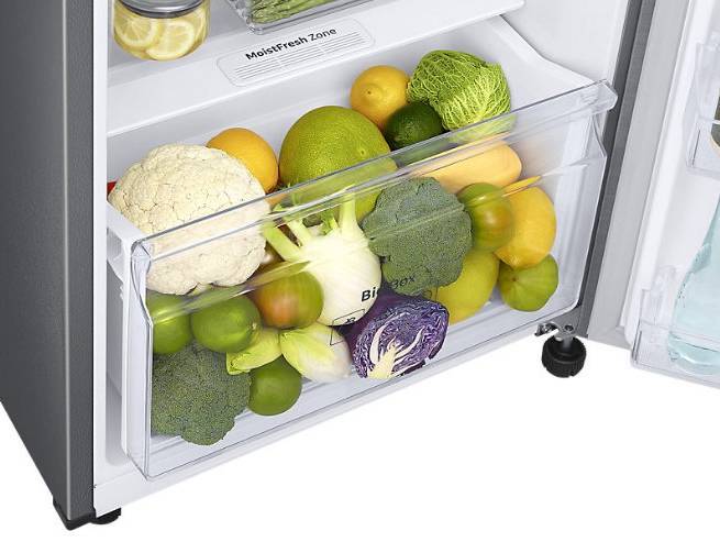 (image for) Samsung RT25M4033S9/SH 255L 2-Door Refrigerator (Refined Inox) - Click Image to Close